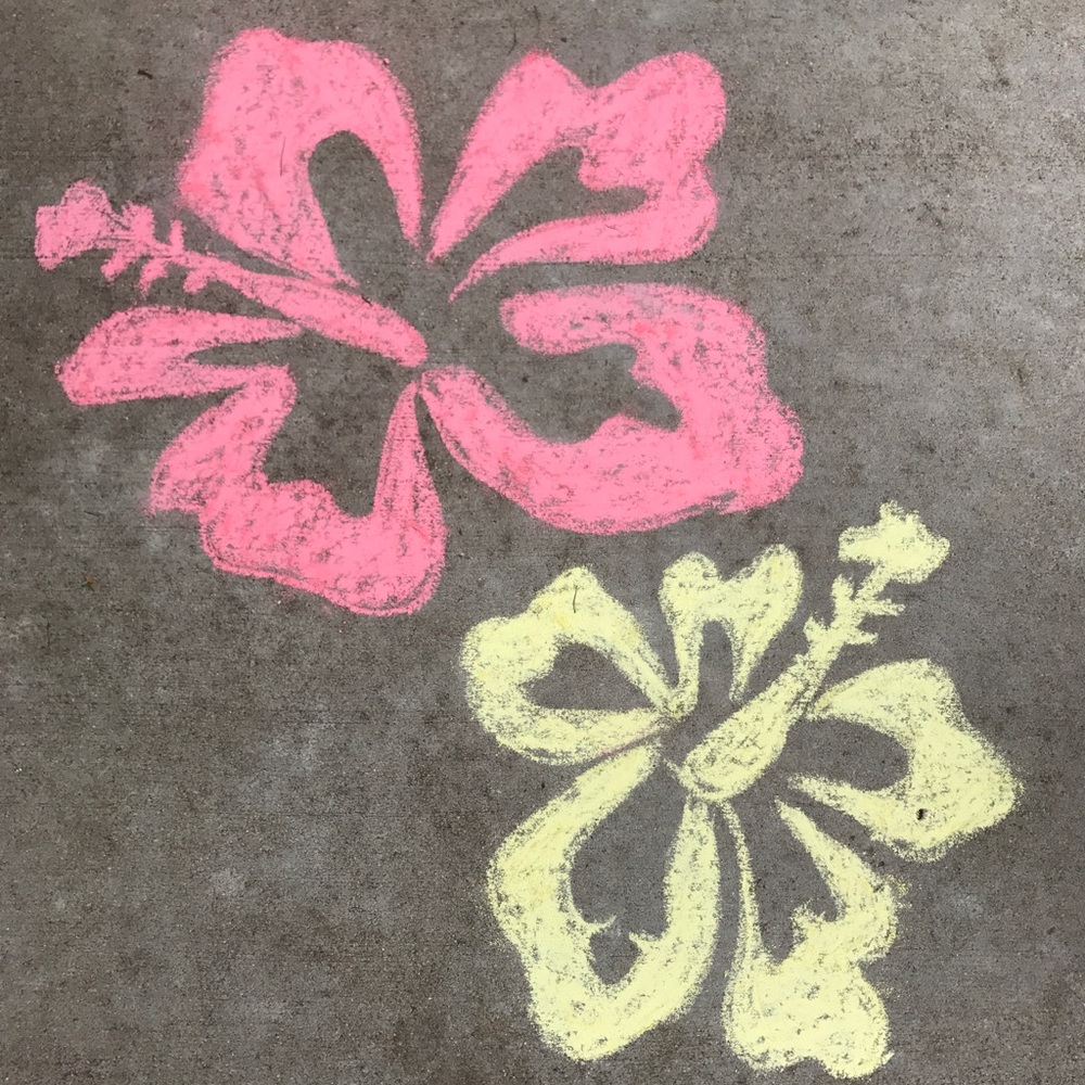 Meet your Posher, Lucy